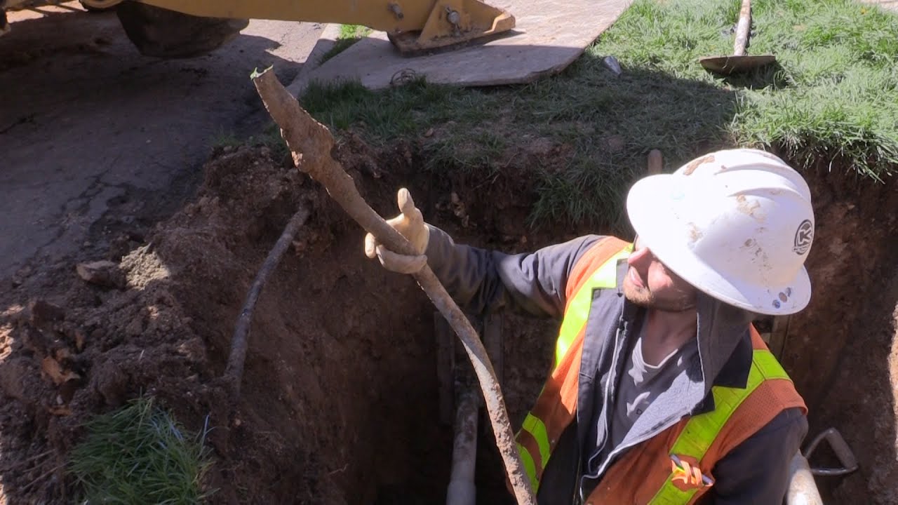 Resumen del Programa de reducción de plomo de Denver Water