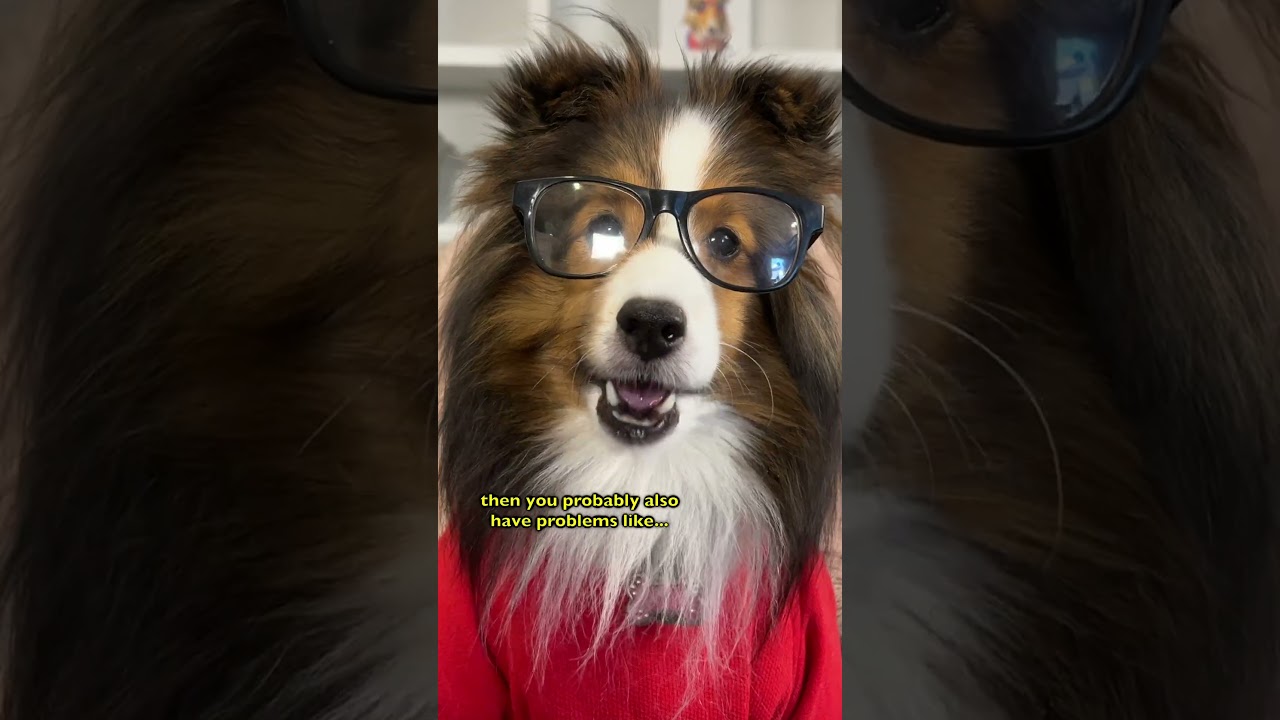 REAL world problems for my Dog! 😆🐶 e559-1