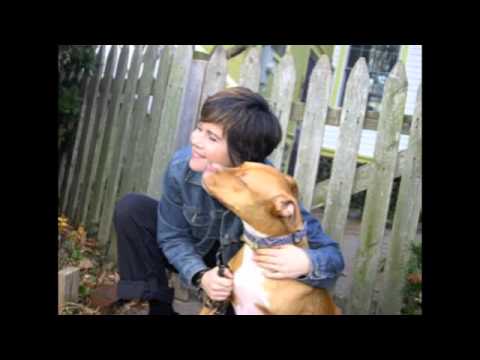 American Pit Bull Terrior Promotional Video