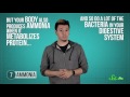 10 Surprising Chemicals Your Body Makes
