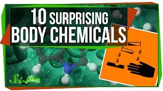 10 Surprising Chemicals Your Body Makes