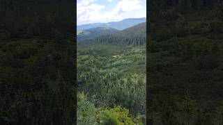 #гори #карпати #mountains #nature #travel #гуцульщина