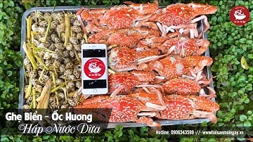 Thưởng thức Ghẹ Biển và Ốc Hương hấp nước dừa | #HSMN