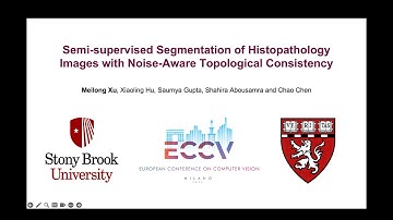 Semi-supervised Segmentation with Noise-Aware Topological Consistency | ECCV 2024