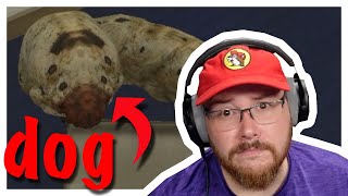 Lair Plays Petsitting - A Game About a “Dog”