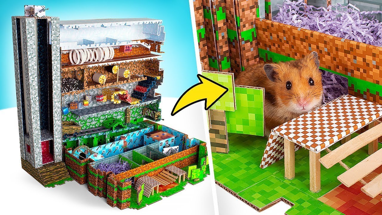 VRAI LABYRINTHE MINECRAFT EN CARTON || Surprends Ton Hamster ! - YouTube