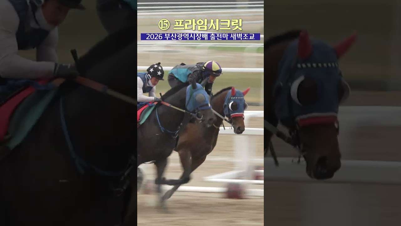 제2의 본다이아는 나올 것인가 -프라임시크릿 편-