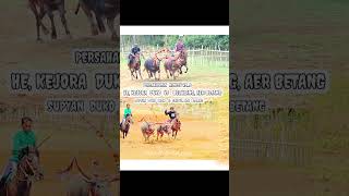 ARTIS. VS  BINTANG KEJORA, MINGGU KE_6 #shortvideo #viral #cultura #short #fyp #fypシ゚viral #trending
