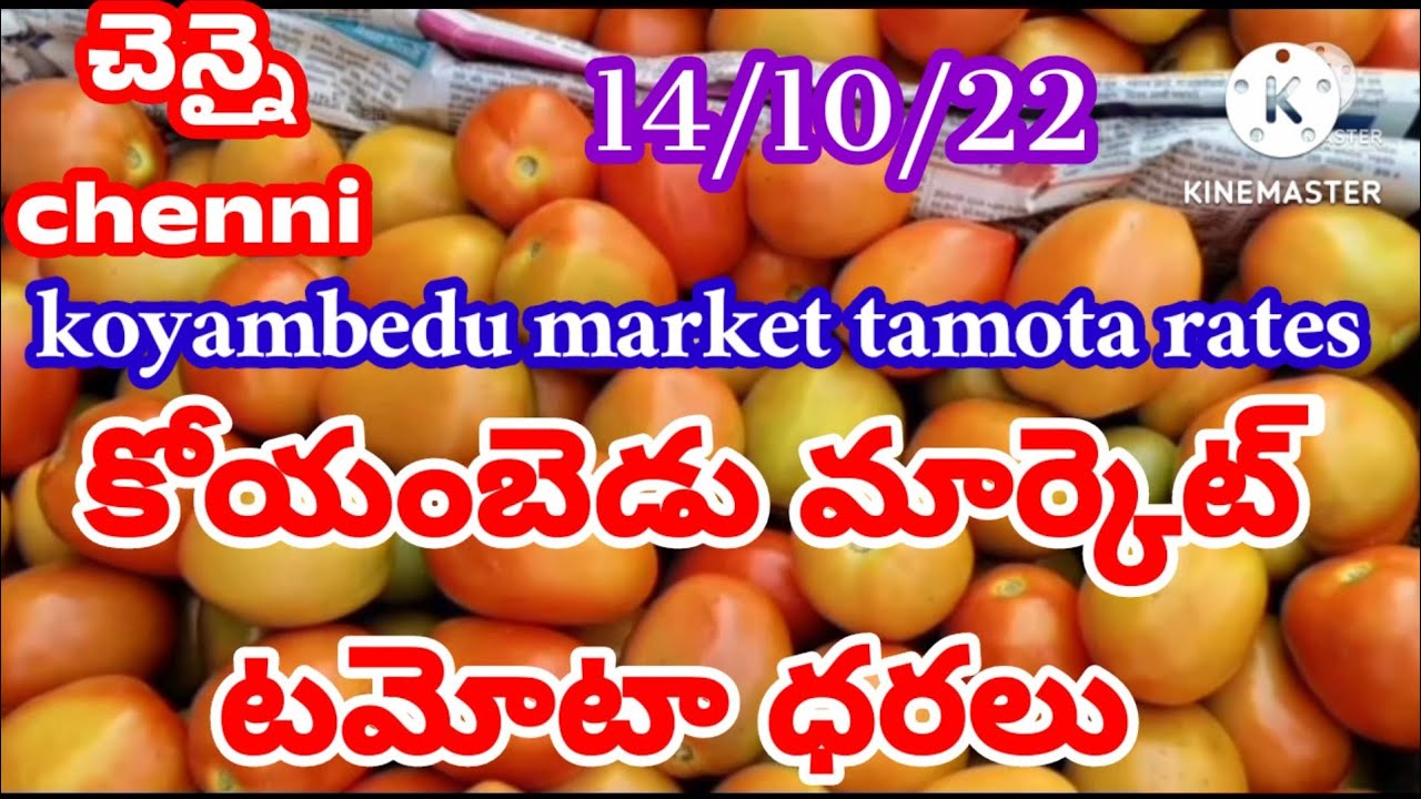 October 14, 2022today koyambedu market tamota rates top price in