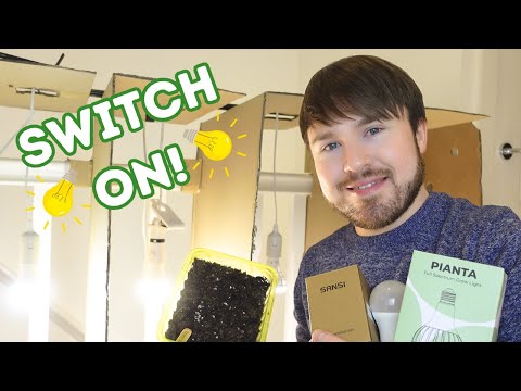 Grow Light Experiment