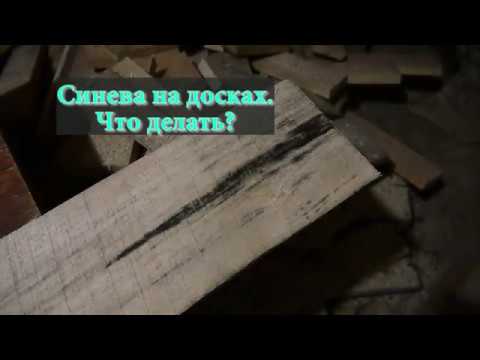 Синева на досках - что делать?