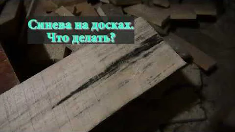 Синева на досках - что делать?