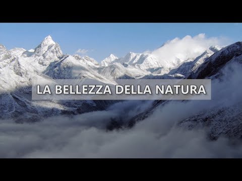 Video: Cosa Significa Puoi Trasmettere La Bellezza Della Natura