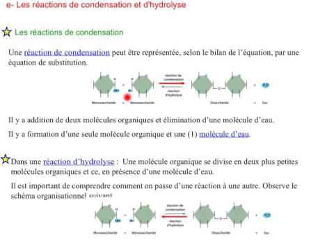 Vidéo: Différence Entre L'hydrolyse Et La Condensation