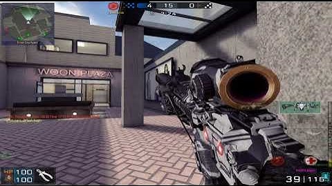 Blackshot Gun Bug