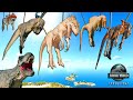 Jurassic World Evolution 3 | Spinosaurus vs Giganotosaurus vs TRex , Big Dinosaurs Battle &amp; Hunting