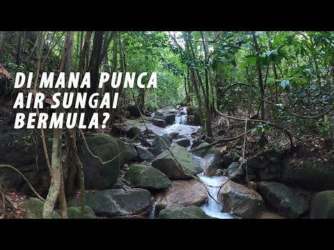 Video: Bagaimana Anda menempatkan batu untuk air terjun?