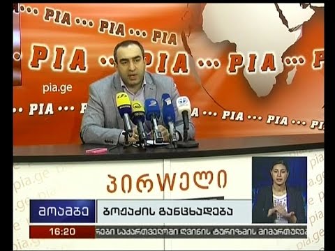 ვლადიმერ ბოჟაძე: გერმანული მოდელი კონსტიტუციასთან წინააღმდეგობაში მოდის