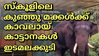 ആലുവ,മൂന്നാർ രാജപാത|#pettimudi|off road|Top oneTourist Place in Kerala,india,munnar|#Edamalakkudy