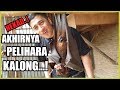 AKHIRNYA PELIHARA KALONG...! TAPI NGACAK NGACAK RUMAH JOGLO...?!