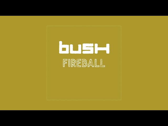 Bush - Fireball