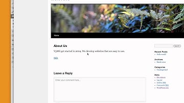 Beginning Wordpress: Making a Page- V3 Media Group