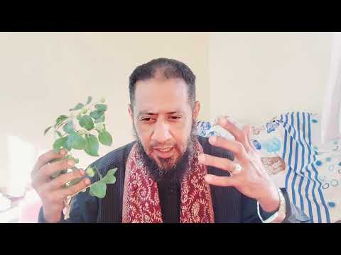 Geedka Gobta Geedka Gobta