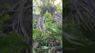 Queen’s Staircase en Nassau, Bahamas