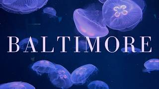 A Day in Baltimore | National Aquarium & Dinner at The Wren