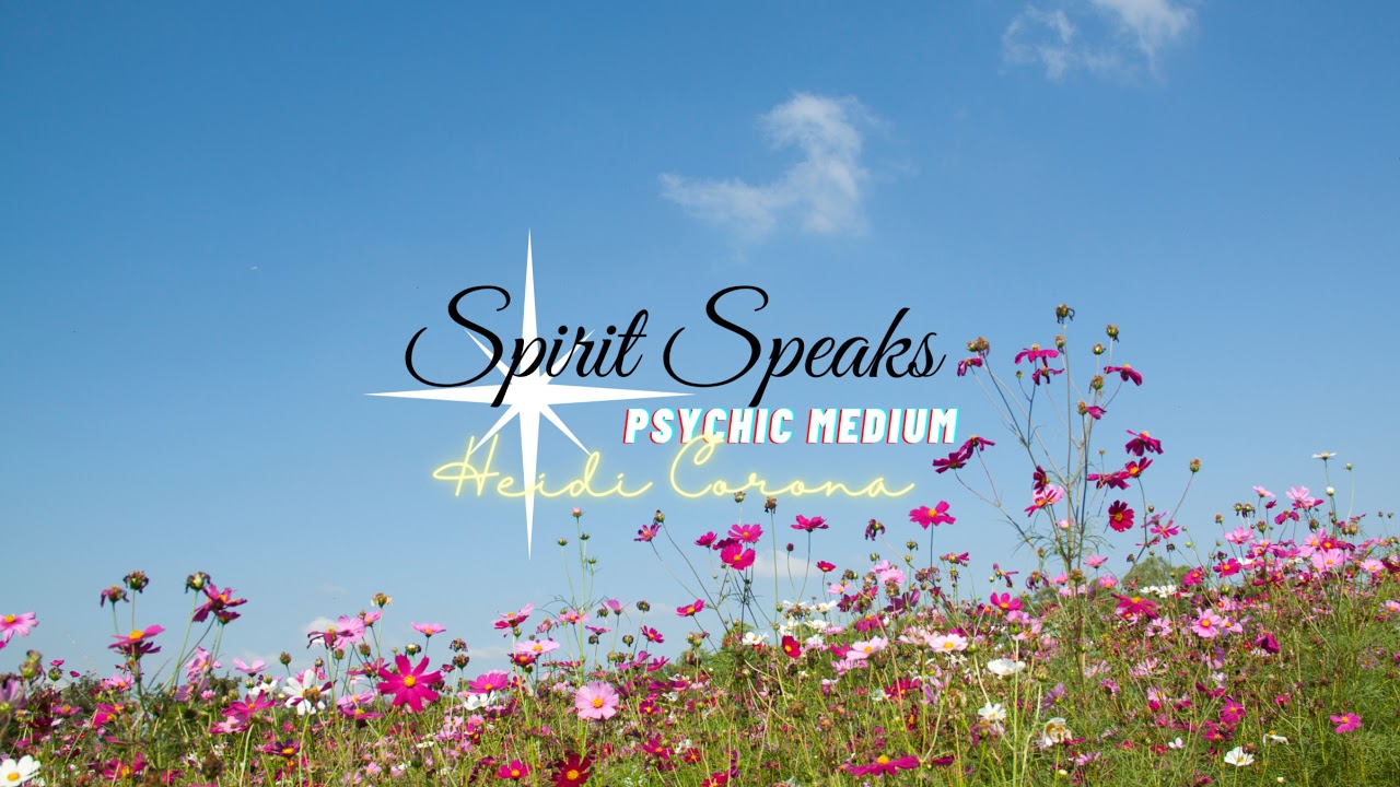 Zodiac Monday - 18+ Free Live Psychic Tarot Card Readings with Heidi