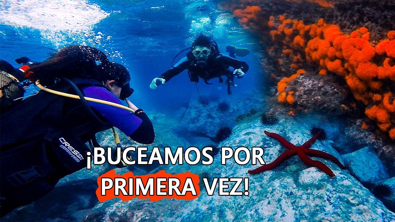 🐠Bautismo de buceo en la Playa Marina del Este de Granada🐙