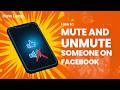 How to Mute and Unmute Someone on Facebook Story?