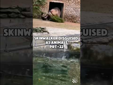 SkinWalker Disguised As