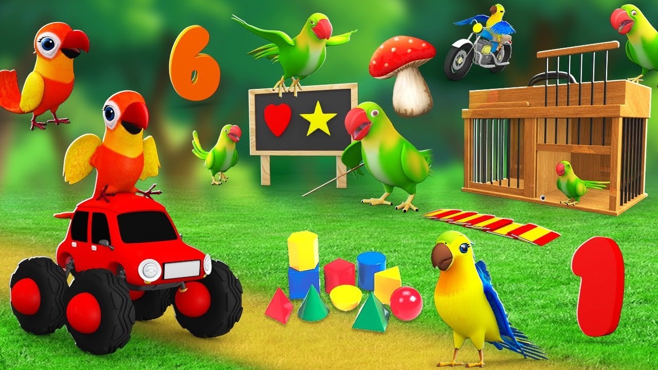 Vehicles Parrots Funny Parrots Learn Vehicles Magical Cards - Funny Cute Parrots Talking ...