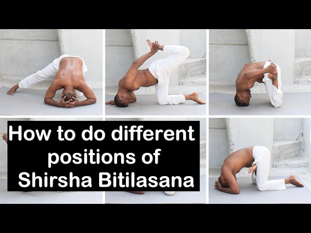 Marjarasana-Bitilasana: Cat-Cow Yoga Warmup Pose