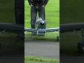 This RC Warbird Growls Like a Beast Before Takeoff! 🔥