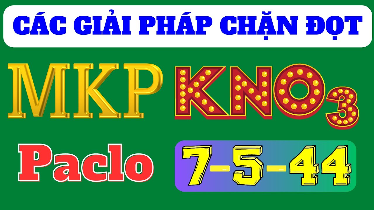 Tìm hiểu về các hóa chất CHẶN ĐỌT phổ biến | Lựa chọn hiệu quả cho chặn đọt mùa mưa xử lý nghịch vụ