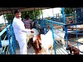 400 शेळ्यांचा फार्म यातुन 50 लाखांचे उत्पन्न | Tejas Lengre | यशोगाथा | Goat Farming story 2020