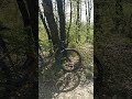 due minuti di strada e arrivo nel. bosco 😍, lavorare vicino ai sentieri che fai in mountain-bike 😍