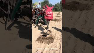 Top 5 Tips for Starting a New Mango Orchard -Learn five key steps #MangoPlanting#MangoOrchardTips
