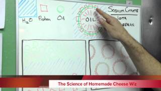 How to make Homemade Cheese Wiz!