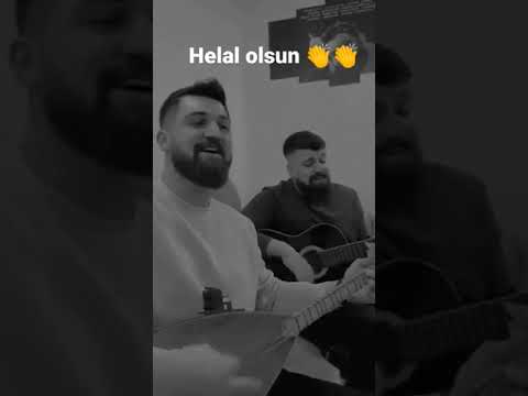 aslanı tilki den kaçarken gördüm #tiktok #tiktokvideo #tiktokviral