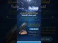 لماذا لا يتناول الانسان لحم سمك القرش   اخبار الكوكب