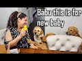Baby ka Saman Dogs ko bhi Chaiye 😂 Baby Shower ki Tayari Shuru