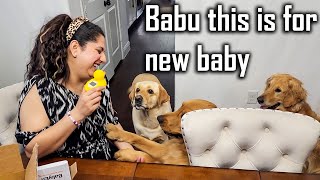 Baby ka Saman Dogs ko bhi Chaiye 😂 Baby Shower ki Tayari Shuru