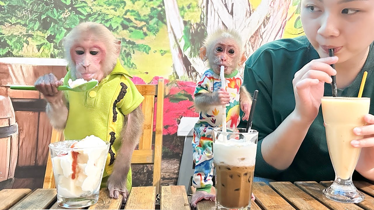 Bibi and Lala took money to invite Mom out for coffee!