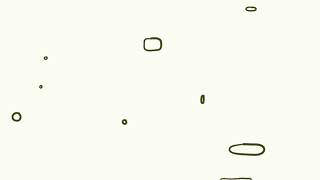 Information Floating Elements Animation   1080WebShareName News