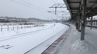 特急北斗８８号函館駅到着（２０２０年１月１日）