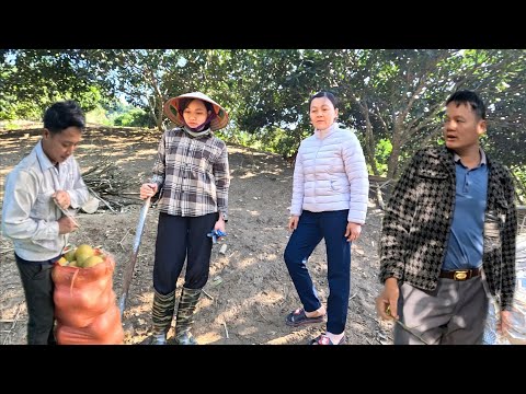 The Landlady Suddenly Appeared The Message Left Me Confused Ly Vy Ca