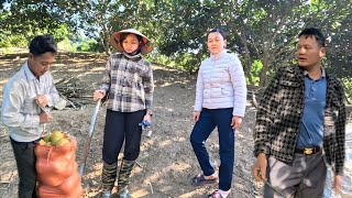 Download Lagu The landlady suddenly appeared, the message left me confused. Ly Vy Ca  MP3